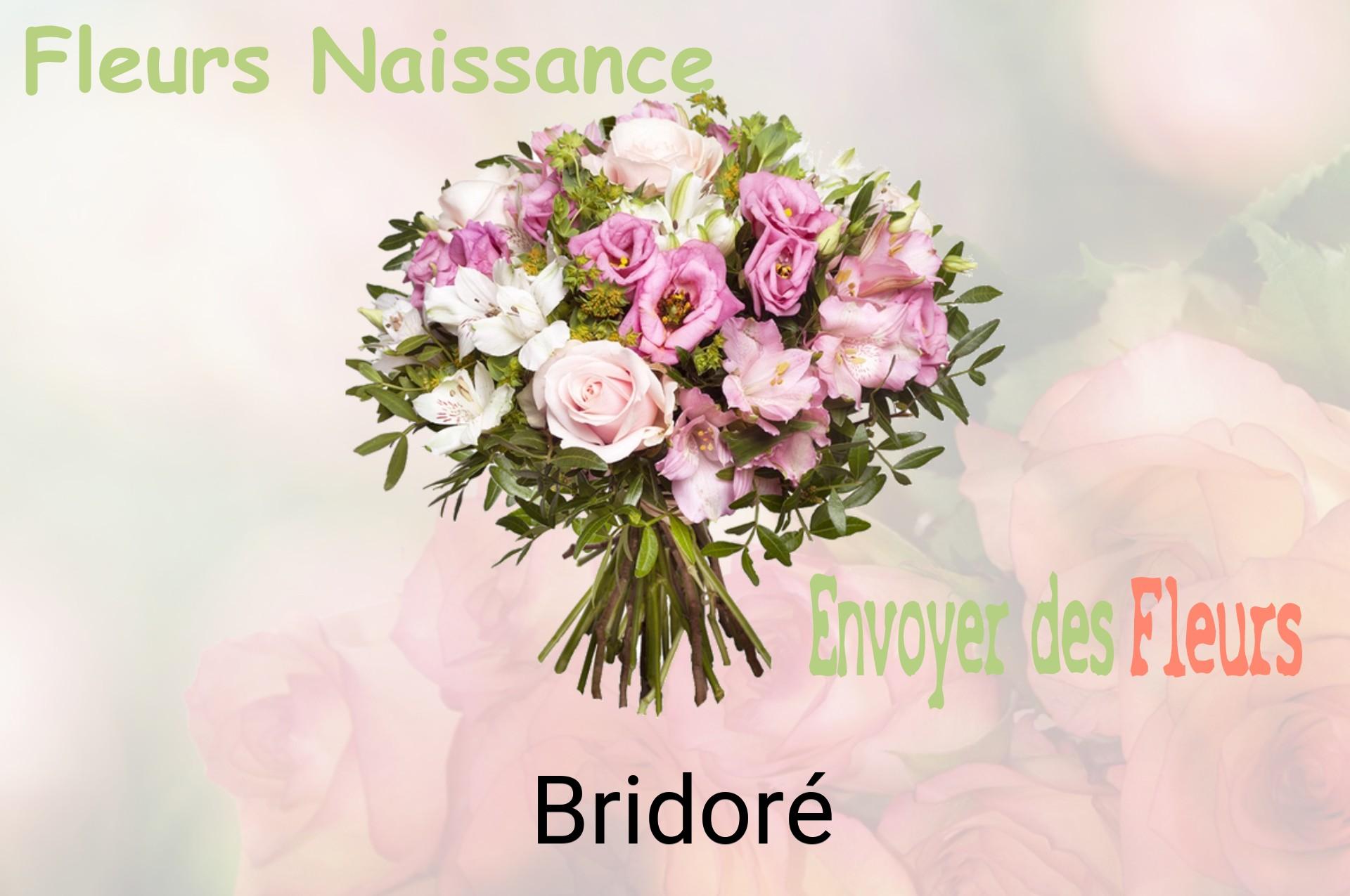 Bouquet de fleurs de naissance livré à Bridoré